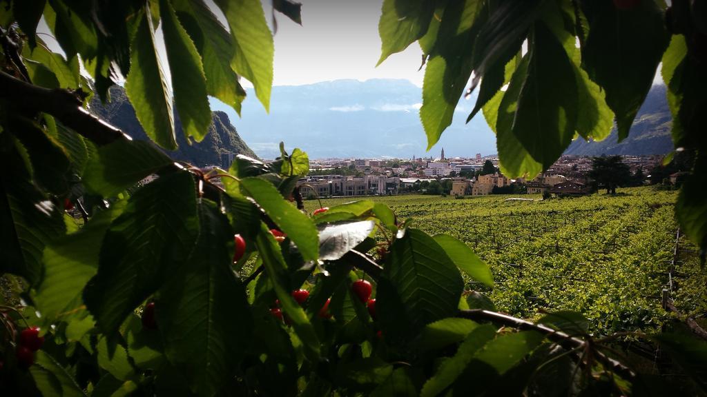 Hotel Rentschnerhof Bolzano Eksteriør bilde